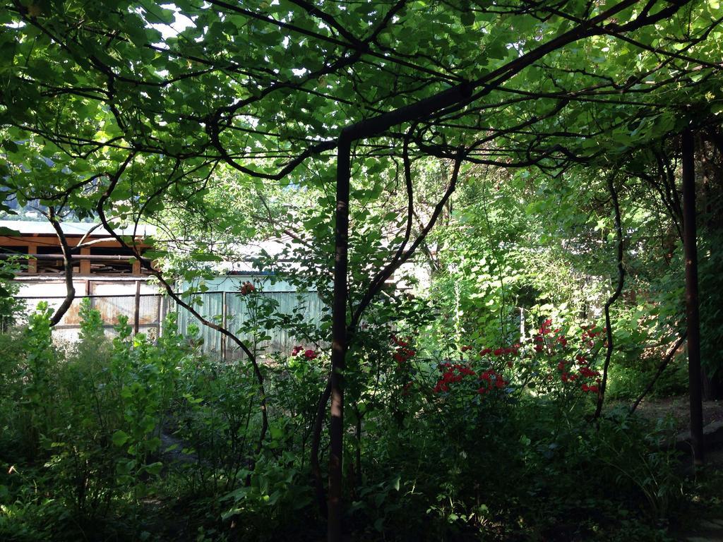 Guest House Besarioni Borjomi Eksteriør billede